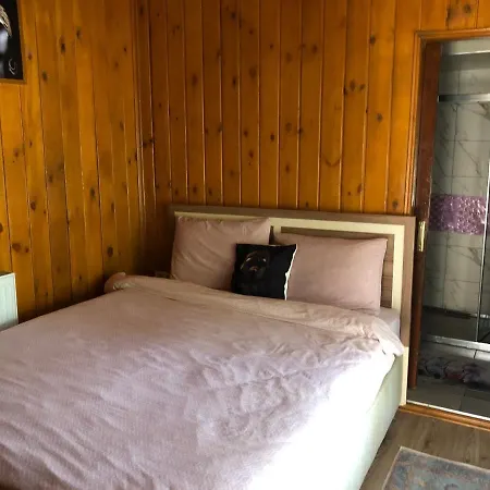 Sapanca Kanarya Doga Evleri